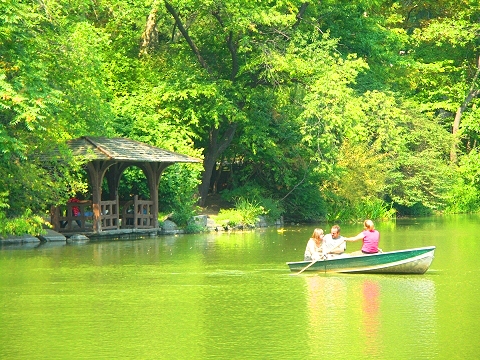 NY-Rowboats_in_Central_Park-02.JPG