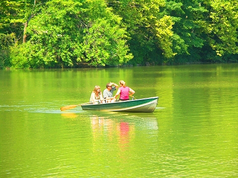 NY-Rowboats_in_Central_Park-09.JPG