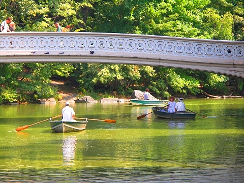 NY-Rowboats_in_Central_Park-11.JPG