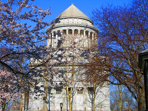 NY-Sakura_Park_Cherry_Blossoms-Spring_2008-08.JPG