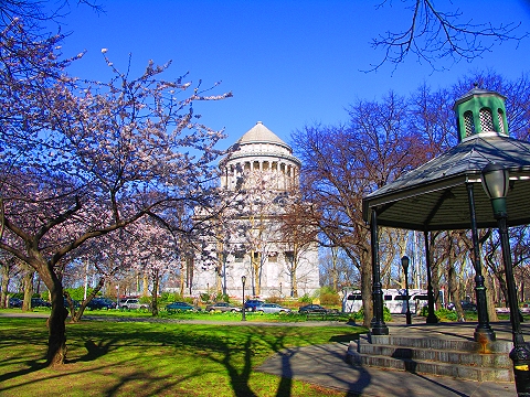 NY-Sakura_Park_Cherry_Blossoms-Spring_2008-09.JPG