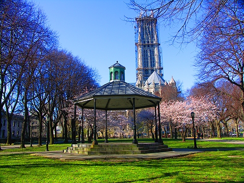 NY-Sakura_Park_Cherry_Blossoms-Spring_2008-13.JPG