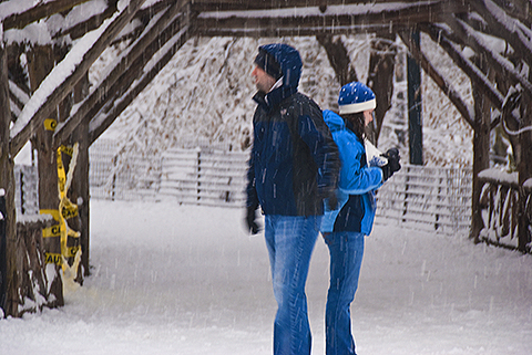 NY-Snow_Day_in_Central_Park-Feb_10-2010--01.jpg