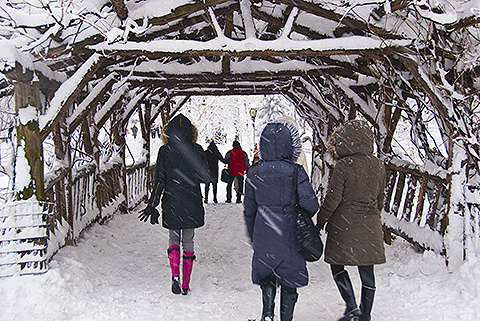 NY-Snow_Day_in_Central_Park-Feb_10-2010--02.jpg