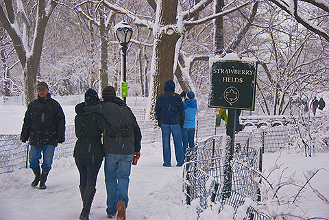 NY-Snow_Day_in_Central_Park-Feb_10-2010--03.jpg