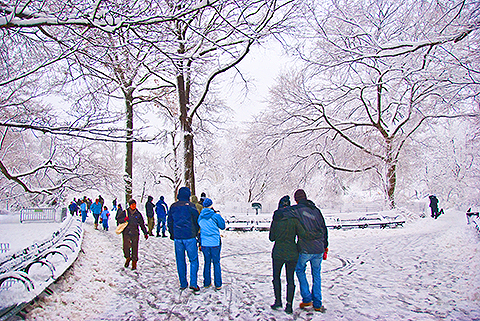NY-Snow_Day_in_Central_Park-Feb_10-2010--04.jpg