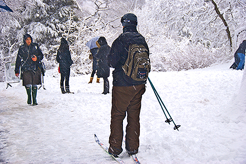 NY-Snow_Day_in_Central_Park-Feb_10-2010--05.jpg