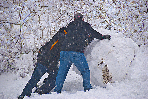 NY-Snow_Day_in_Central_Park-Feb_10-2010--06.jpg