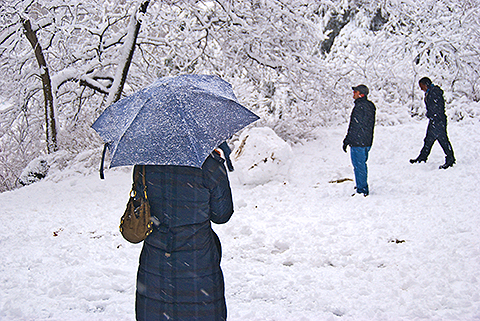 NY-Snow_Day_in_Central_Park-Feb_10-2010--07.jpg