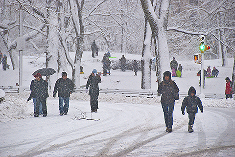 NY-Snow_Day_in_Central_Park-Feb_10-2010--08.jpg
