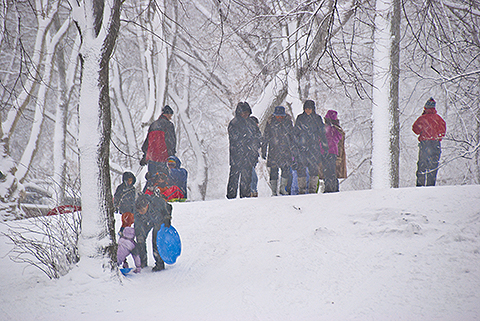 NY-Snow_Day_in_Central_Park-Feb_10-2010--09.jpg