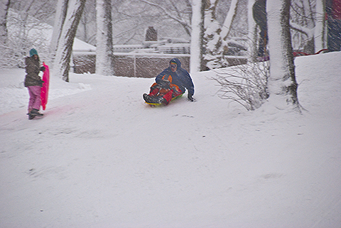 NY-Snow_Day_in_Central_Park-Feb_10-2010--10.jpg