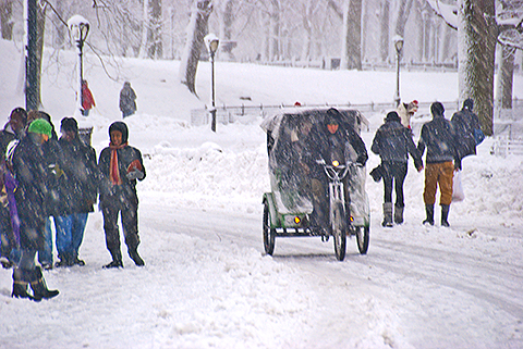 NY-Snow_Day_in_Central_Park-Feb_10-2010--11.jpg