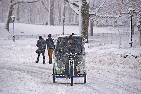 NY-Snow_Day_in_Central_Park-Feb_10-2010--12.jpg