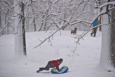 NY-Snow_Day_in_Central_Park-Feb_10-2010--13.jpg
