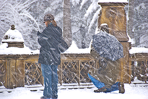 NY-Snow_Day_in_Central_Park-Feb_10-2010--14.jpg