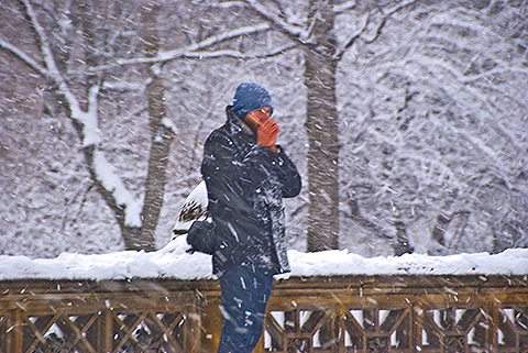 NY-Snow_Day_in_Central_Park-Feb_10-2010--15.jpg
