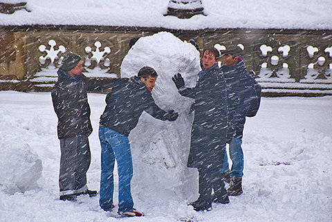 NY-Snow_Day_in_Central_Park-Feb_10-2010--16.jpg