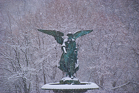 NY-Snow_Day_in_Central_Park-Feb_10-2010--17.jpg