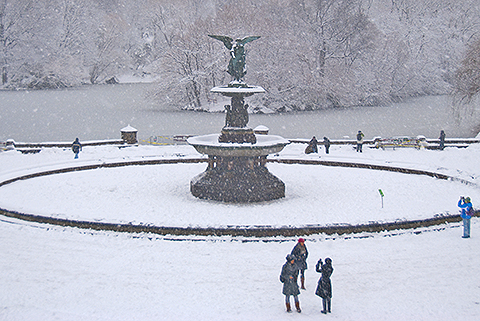 NY-Snow_Day_in_Central_Park-Feb_10-2010--18.jpg
