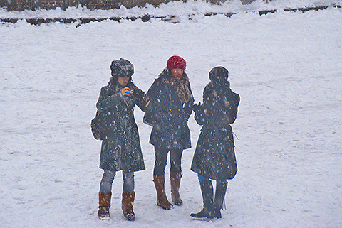 NY-Snow_Day_in_Central_Park-Feb_10-2010--19.jpg