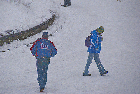 NY-Snow_Day_in_Central_Park-Feb_10-2010--20.jpg