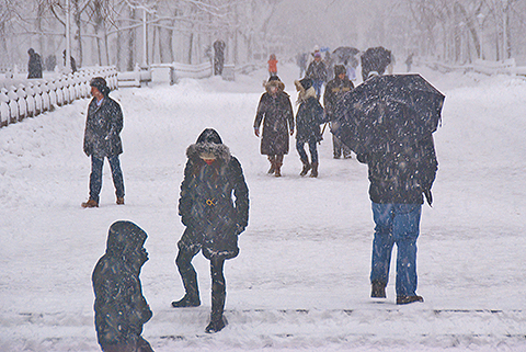 NY-Snow_Day_in_Central_Park-Feb_10-2010--21.jpg