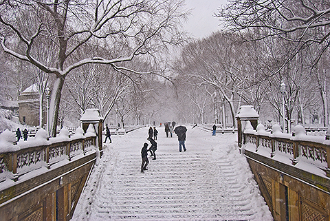 NY-Snow_Day_in_Central_Park-Feb_10-2010--22.jpg