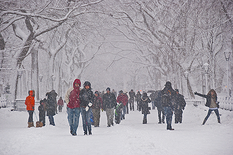 NY-Snow_Day_in_Central_Park-Feb_10-2010--25.jpg