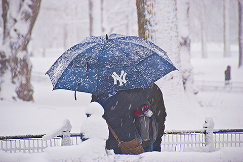 NY-Snow_Day_in_Central_Park-Feb_10-2010--26.jpg