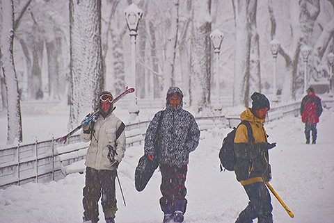NY-Snow_Day_in_Central_Park-Feb_10-2010--28.jpg