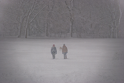 NY-Snow_Day_in_Central_Park-Feb_10-2010--29.jpg