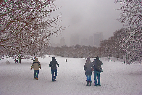 NY-Snow_Day_in_Central_Park-Feb_10-2010--32.jpg