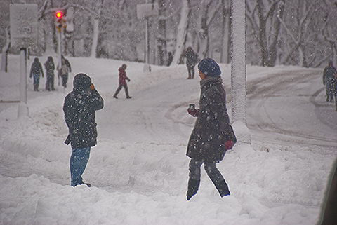 NY-Snow_Day_in_Central_Park-Feb_10-2010--33.jpg
