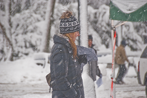 NY-Snow_Day_in_Central_Park-Feb_10-2010--34.jpg