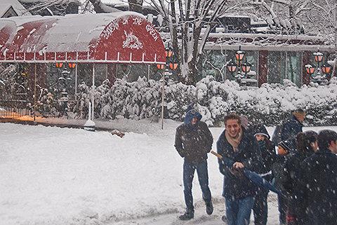 NY-Snow_Day_in_Central_Park-Feb_10-2010--35.jpg