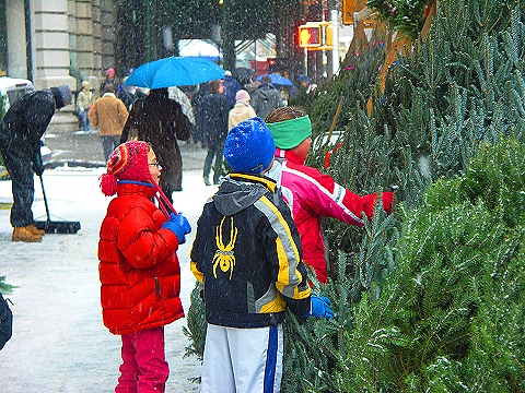 NY-Snow-Upper_Westside-1-Christmas_Trees-Broadway.jpg