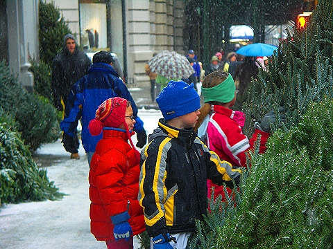 NY-Snow-Upper_Westside-2-Christmas_Trees-Broadway.jpg