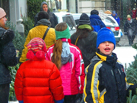 NY-Snow-Upper_Westside-3-Christmas_Trees-Broadway.jpg
