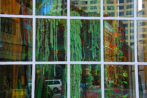 NY-Soho-009-Signs_and_Window_Shots.JPG