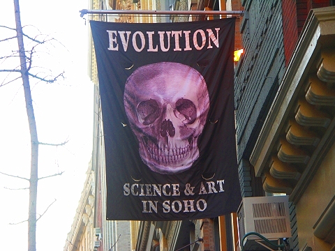 NY-SoHo-Greene_Street-24.JPG