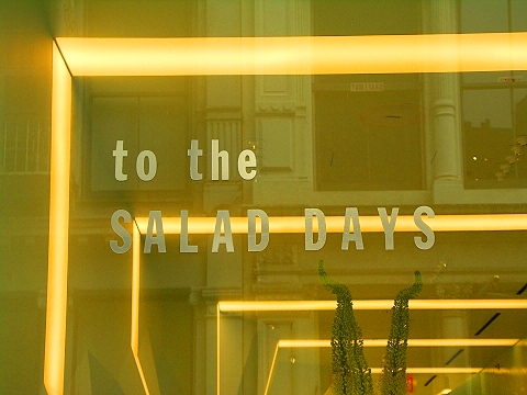 NY-Soho-Greene_Street-31-To_The_Salad_Days.JPG