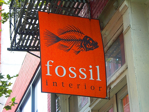 NY-Soho_Signs-Fossil_Interior-1.JPG
