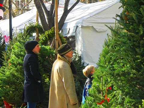 NY-Soho_Square_Christmas_Tree_Farm-09.JPG
