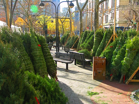 NY-Soho_Square_Christmas_Tree_Farm-11.JPG