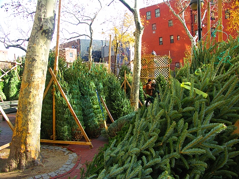NY-Soho_Square_Christmas_Tree_Farm-12.JPG