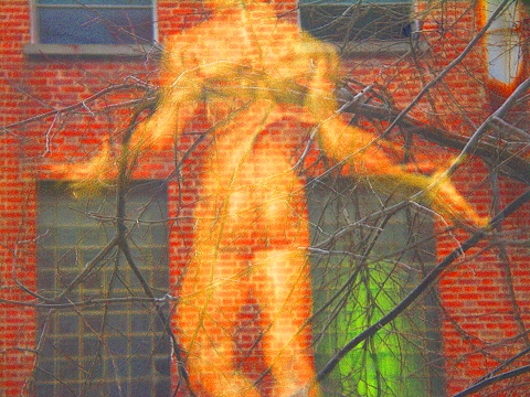 NY-Soho_Street_Art_Graffiti-25.JPG