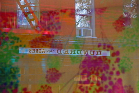 NY-Soho-Windows_Signs_Storefronts-01.JPG