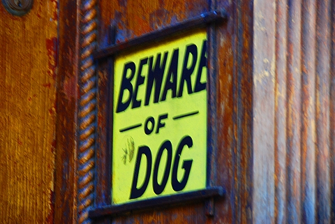 NY-Soho-Windows_Signs_Storefronts-27.JPG