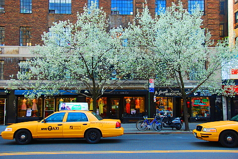 NY-Springtime_in_The_West_Village-People-Watching-21.JPG
